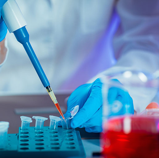 Análisis de muestras en el laboratorio
